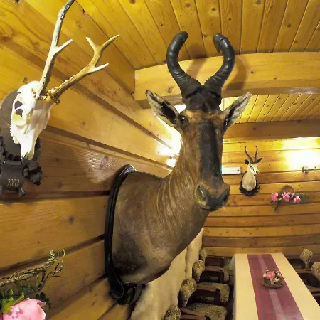 招待所 Chata Diana *