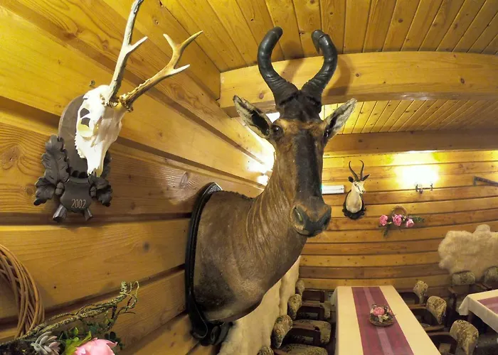 Gasthof Chata Diana *